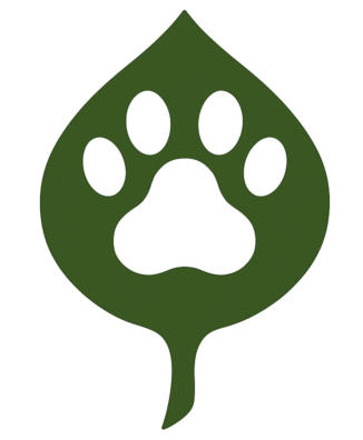 cropped-cropped-create-logo-designs-for-Plants-and-Pawse-Show-a-1.png